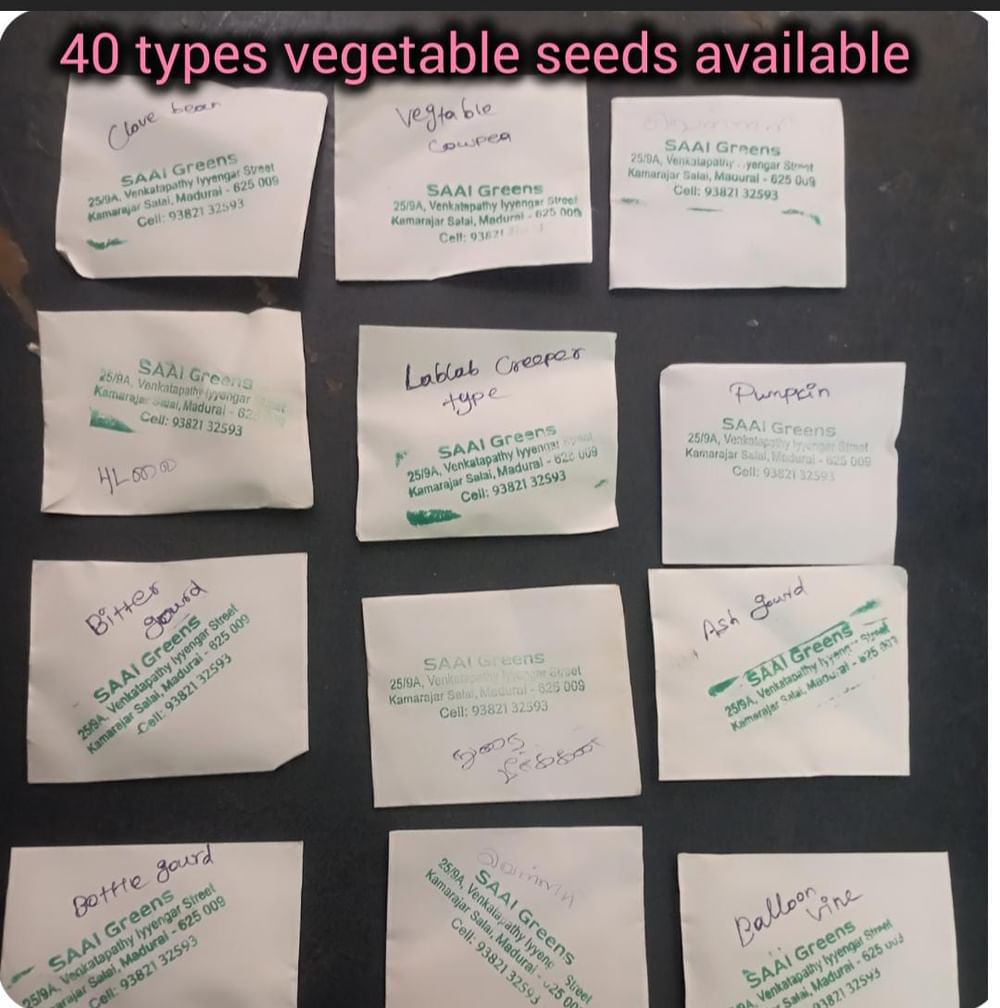 40 Types Of Vegetable Seeds  
